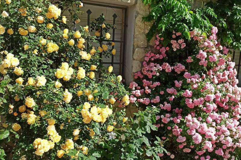 Гостевой дом «АлеТон»