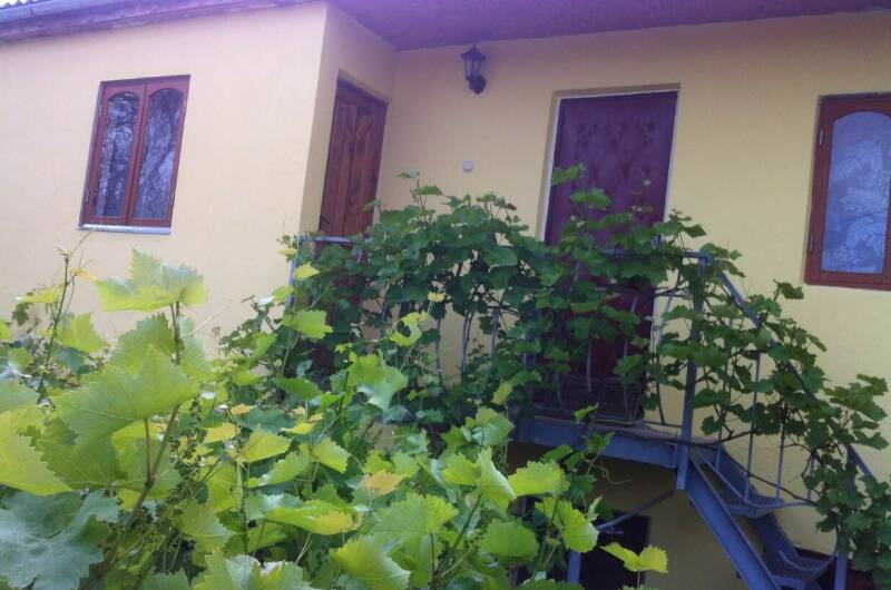 Гостевой дом «Лоза»