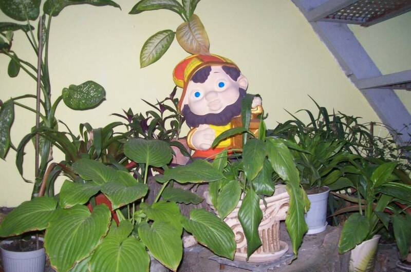 Гостевой дом «Лоза»