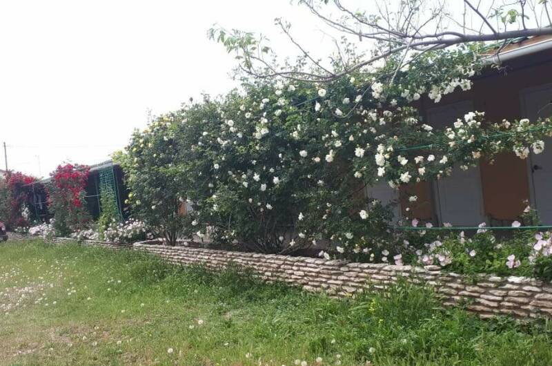 Гостевой дом в Оленевке