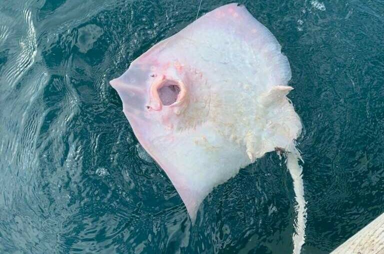 Эллинг «Яхт-клуб Кайрос»