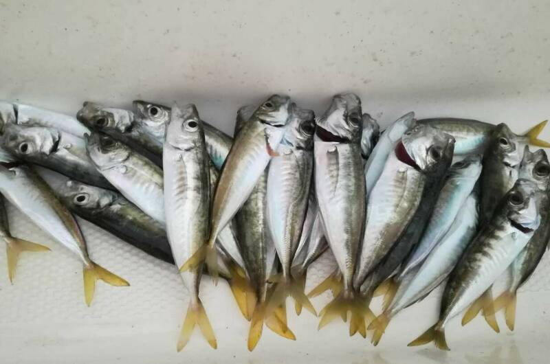 Эллинг «Яхт-клуб Кайрос»