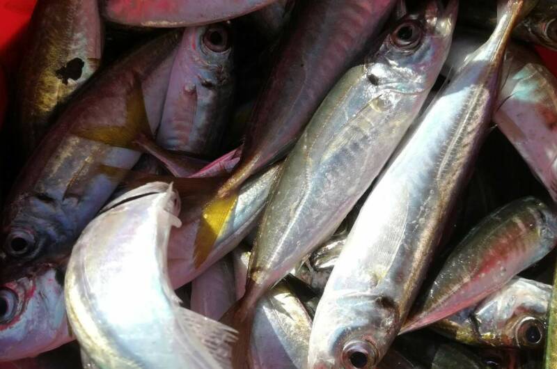 Эллинг «Яхт-клуб Кайрос»