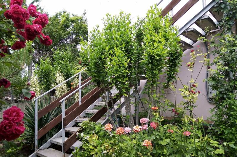 Частный сектор «Цветочный рай»