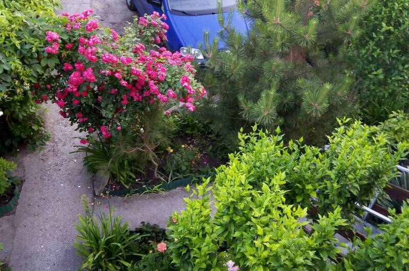 Частный сектор «Цветочный рай»