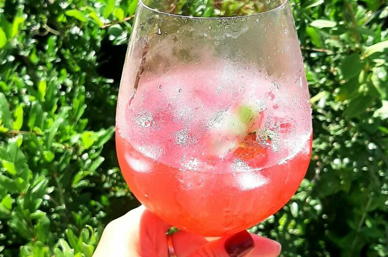 Гостевой дом «Кактус»