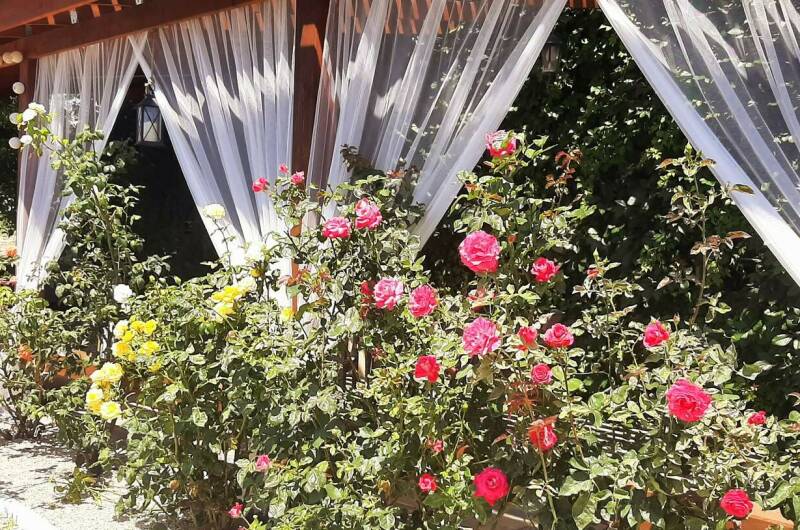 Гостевой дом «Кактус»