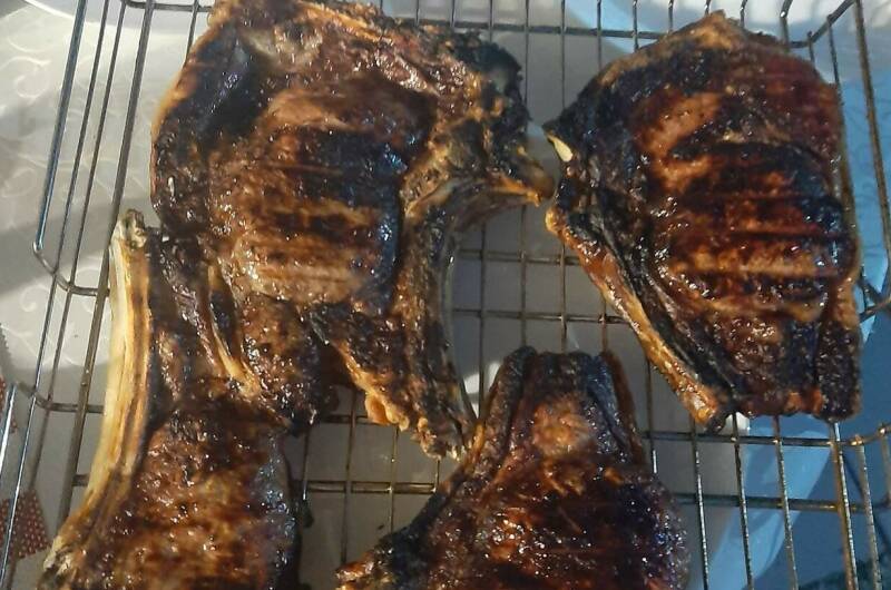 Гостевой дом «Кактус»