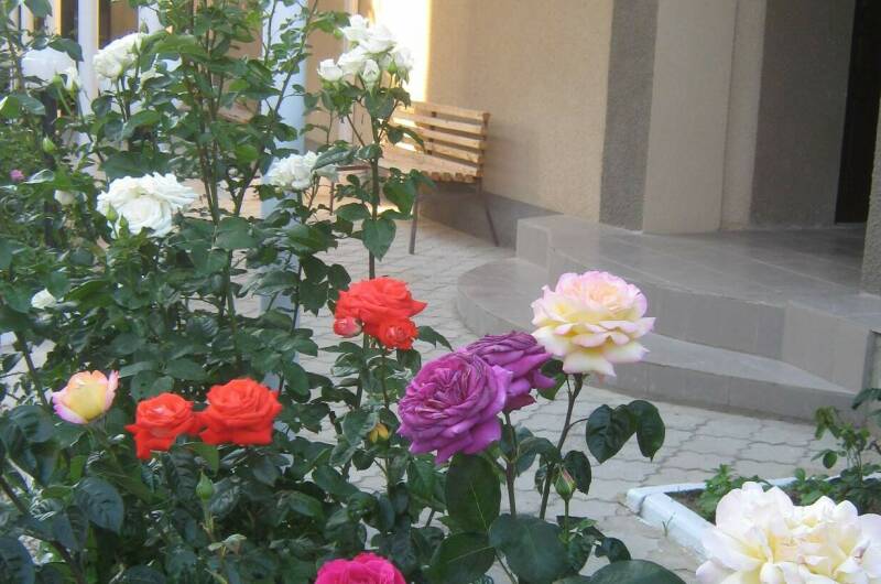 Гостевой дом «Елена»