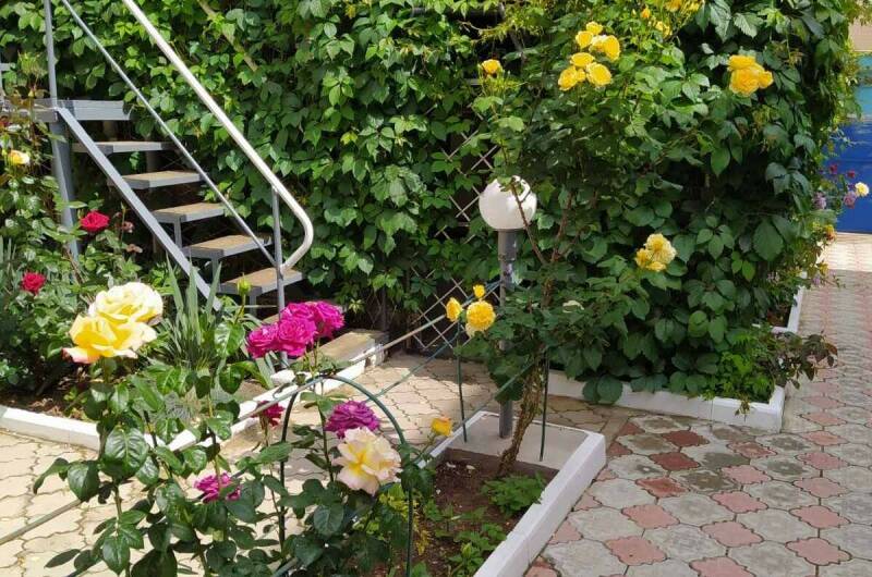 Гостевой дом «Елена»