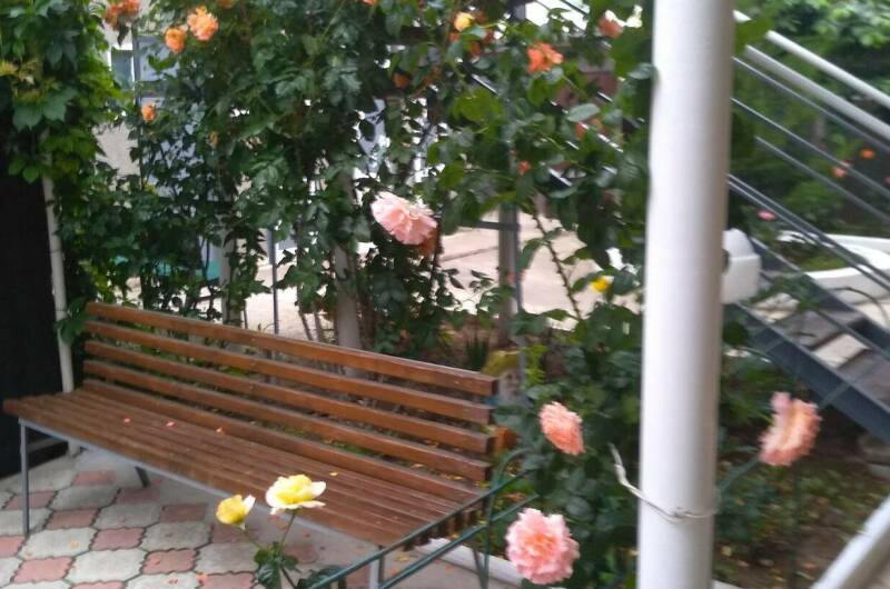 Гостевой дом «Елена»