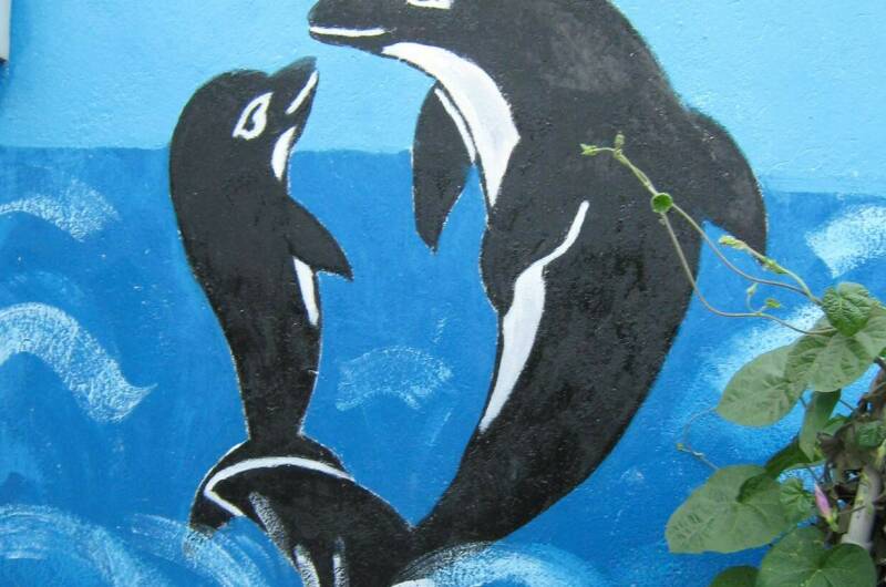 Гостевой дом «Елена»