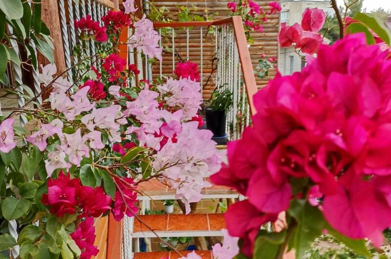 Гостевой Дом на Зерновской