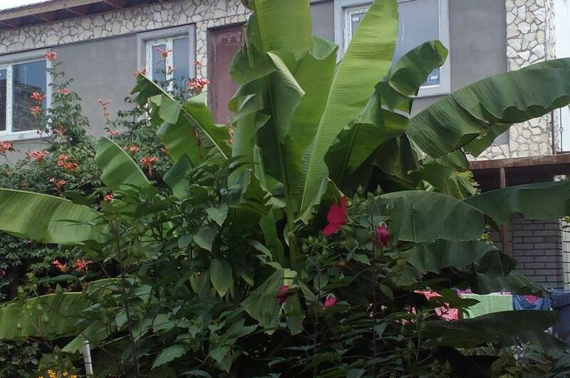 Гостевой дом на Головина 29