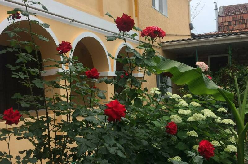 Гостевой дом на Головина 29