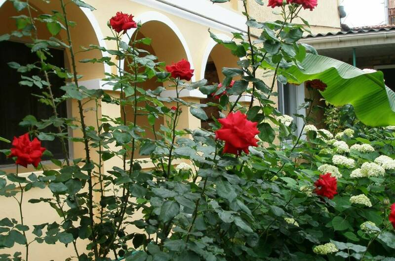 Гостевой дом на Головина 29