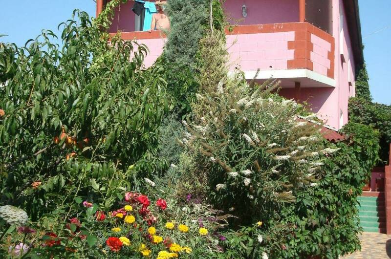 Гостевой дом «У Алены»