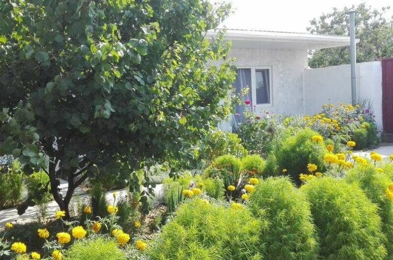 Гостевой дом «Ромашка»