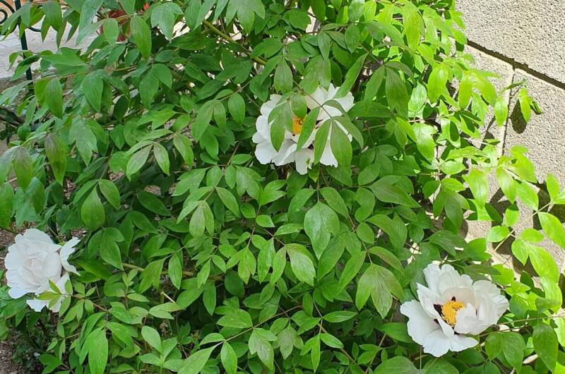 Гостевой дом «Уютный»