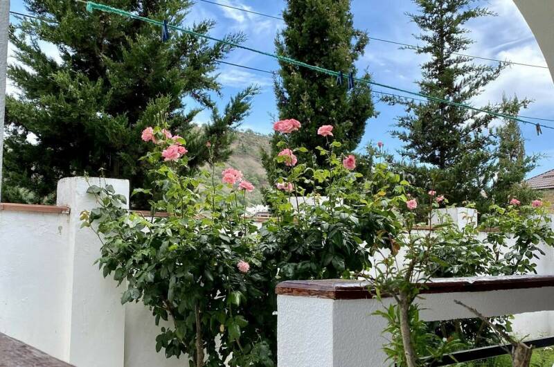 База отдыха «Роза Пикуба»