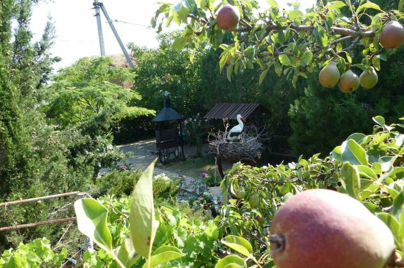 Мини-гостиница «Море Удачи»