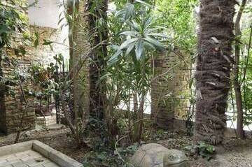 Урочище «Куропатка»