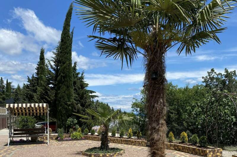 Вилла «Мечта»