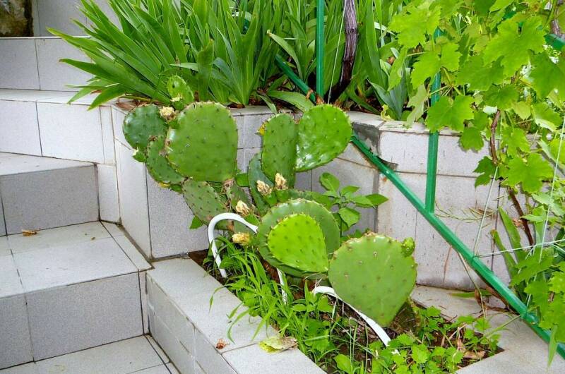 Эллинг «Юрий»