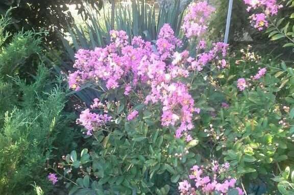 Усадьба «Лукоморье»