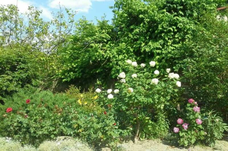 Усадьба «Лукоморье»