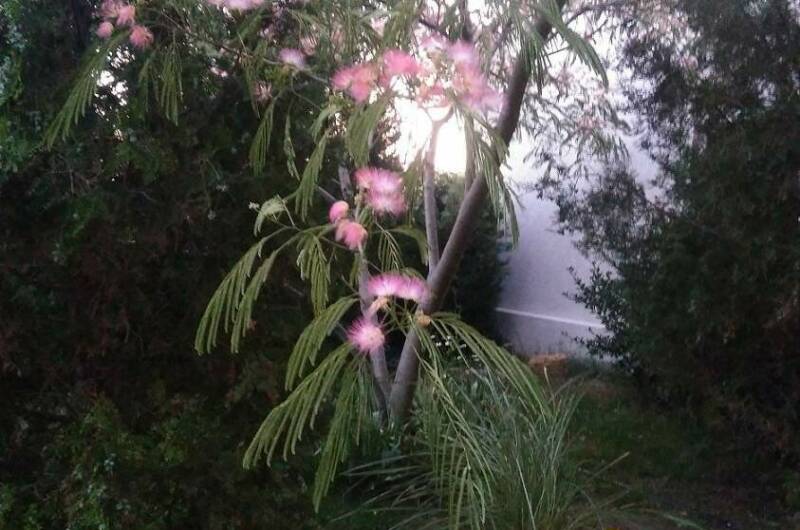 Гостевой дом «Атлантика»