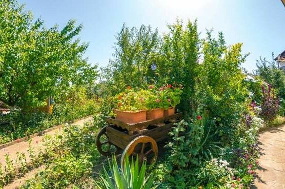 Гостевой дом «Солнечная Долина»