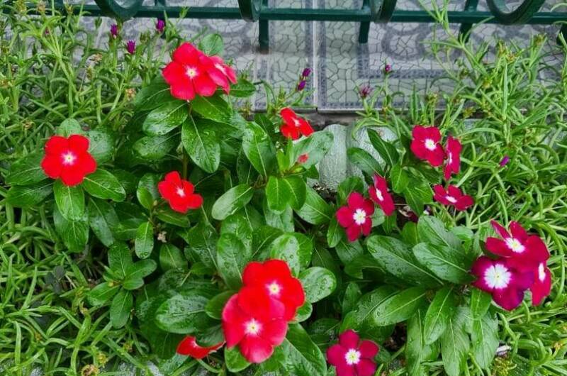 Вилла «Ольга»