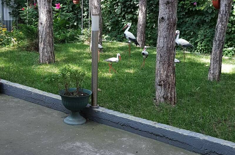 Гостевой дом «Артур»