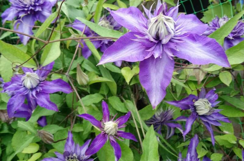 Гостевой дом «У Галины»