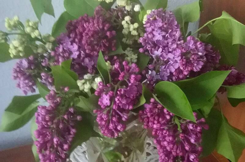 Гостевой дом «У Галины»