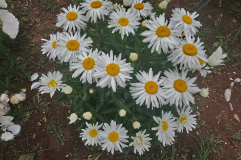 Гостевой дом «У Галины»