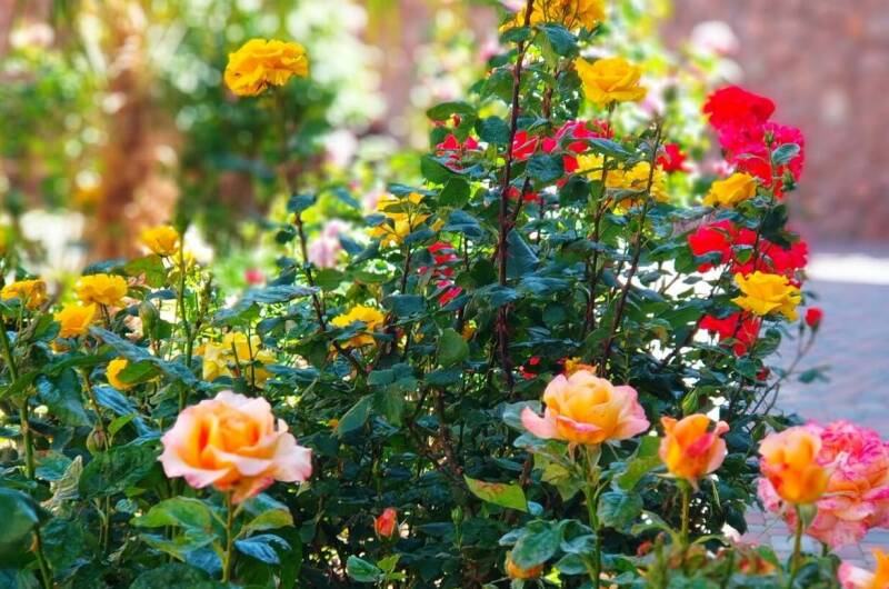 Отель «Море Удачи»