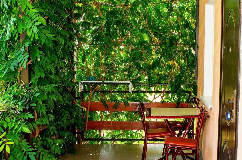 Гостевой дом «Лето в Коктебеле»