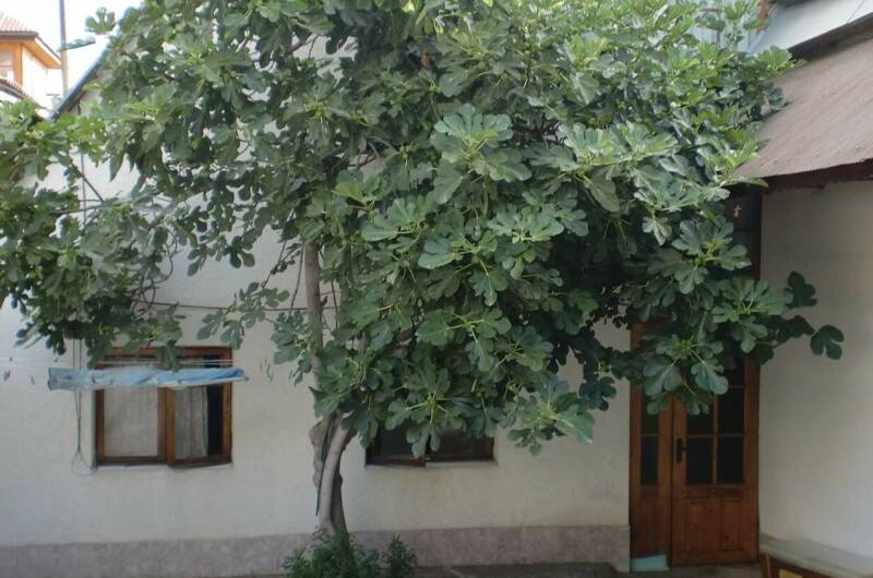 Частный сектор «На Школьной»