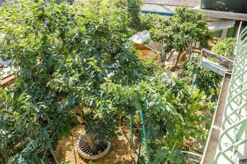 Гостевой дом «У Афанасия»