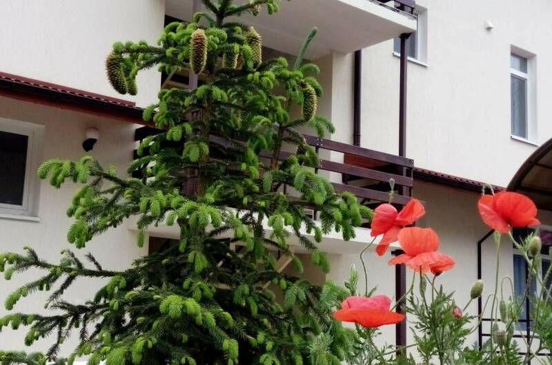 Гостевой дом «Уют»