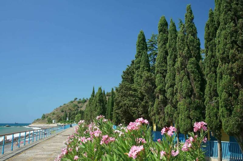 Вилла «Аркадия»