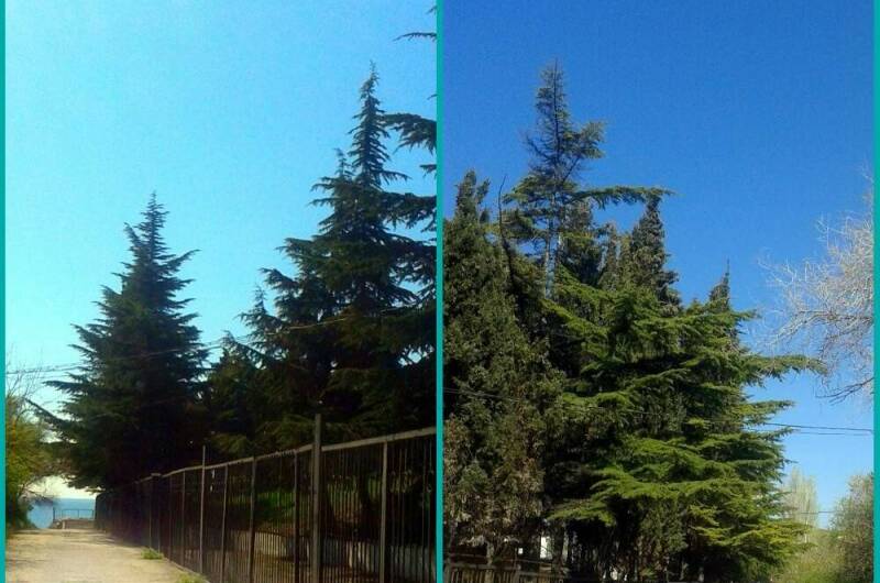 Вилла «Аркадия»