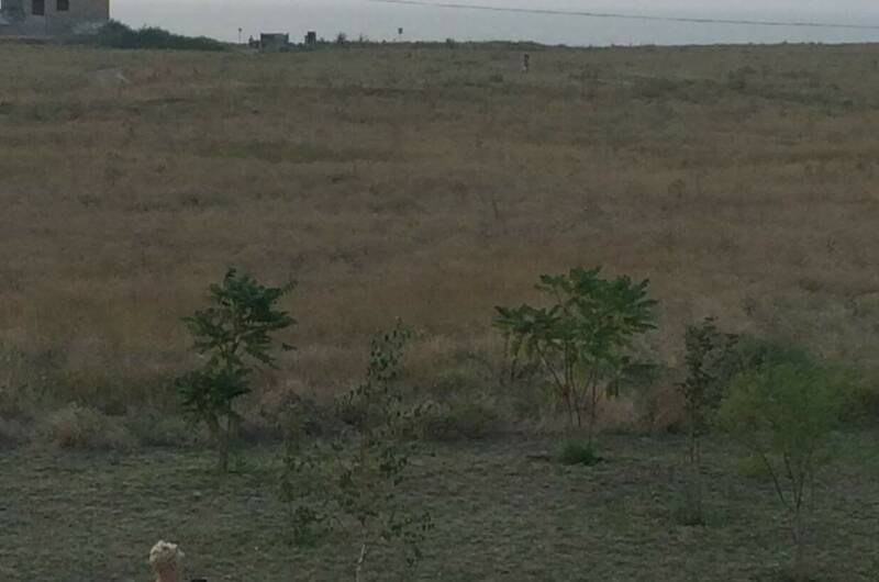 Гостевой дом «Анастасия»