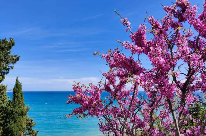 Гостиничный комплекс «Зеленый Мыс»