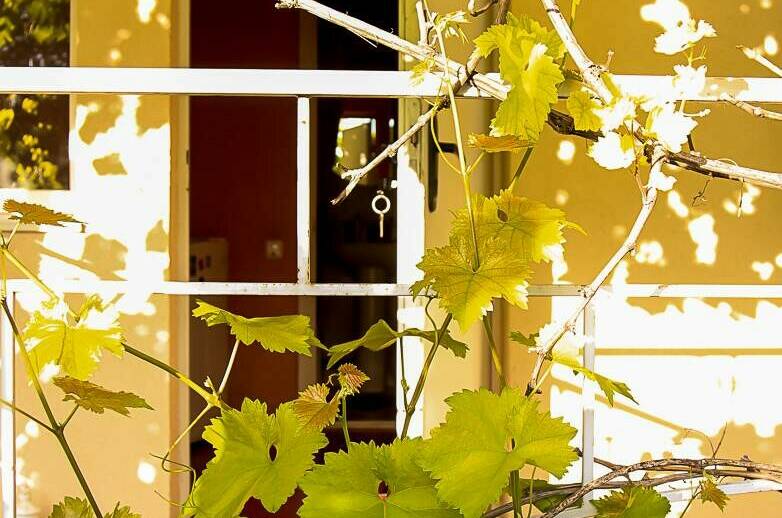 Частный сектор «У Нины»