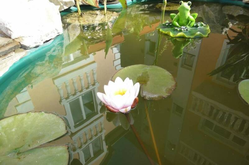 Гостевой дом «Гриновские Берега»