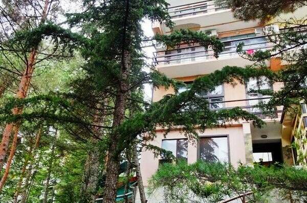 База отдыха «Мечта»