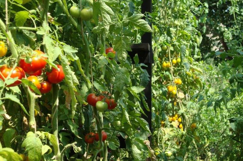 Гостевой дом «У Валентины»